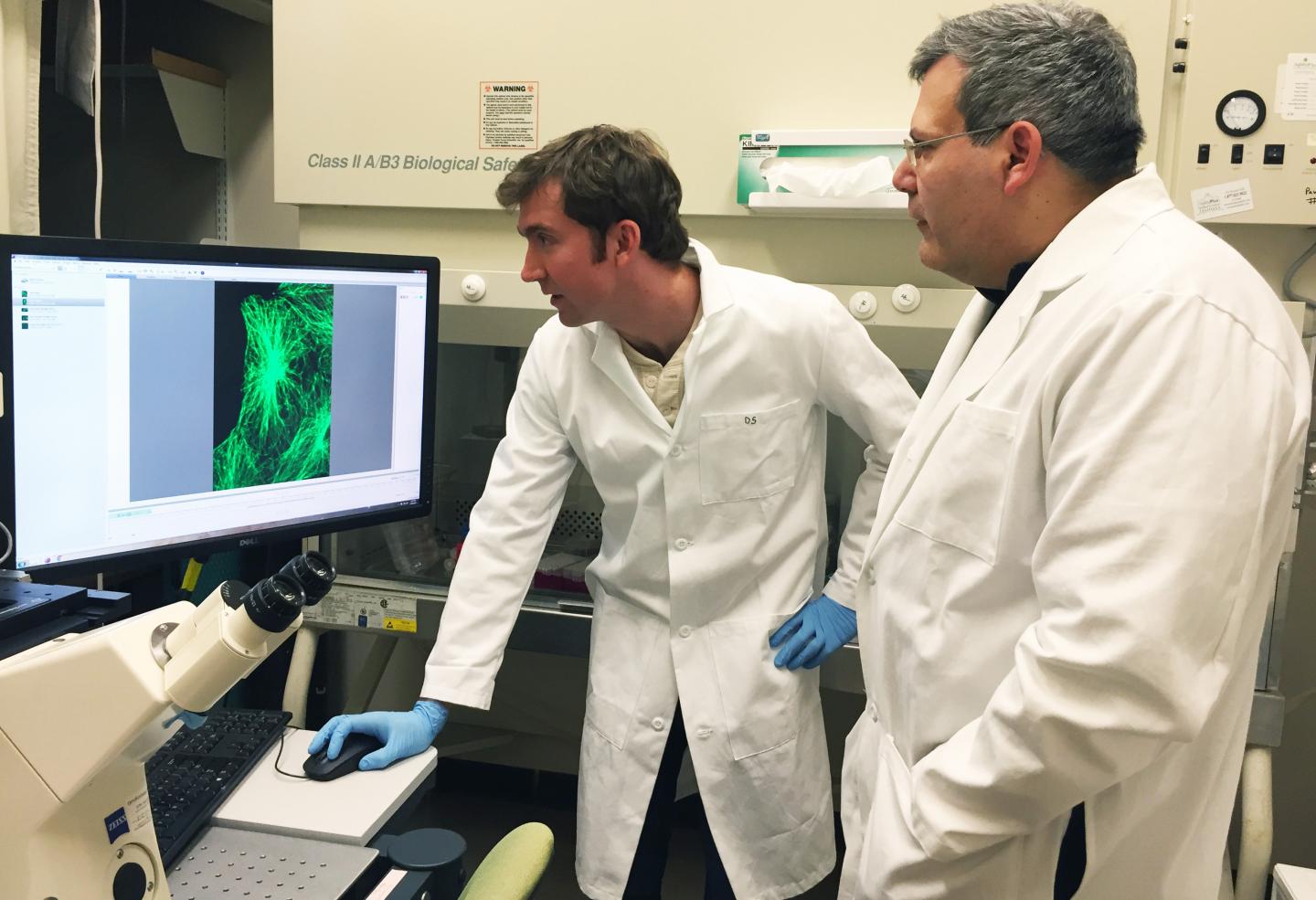 Imaging Cells