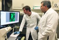 Imaging Cells