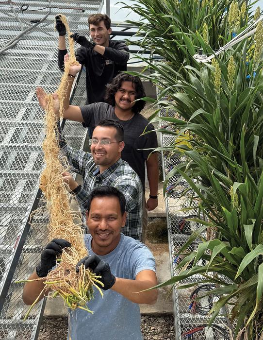 Scientists holding Salk-grown plant with massive roots