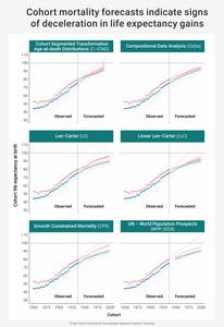 COhort Mortality Forecasts indicate signs of Deceleration in LIfe Expectancy Gains