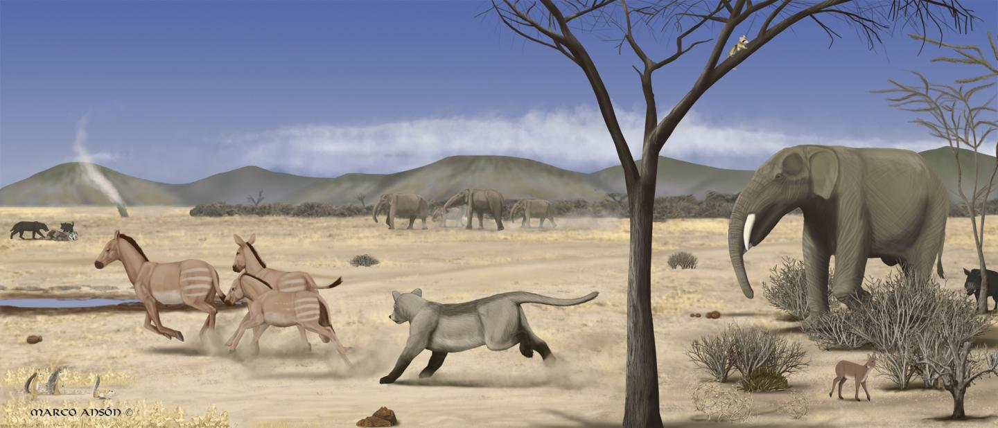 Madrid Savanna