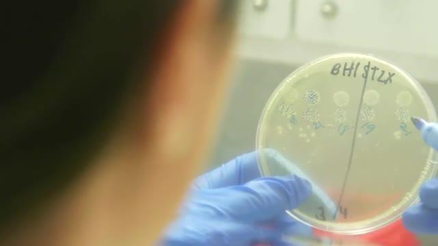 Allergy-Causing 'Bad Guys' Have Unexpected -- and Life-Saving -- Role in <i>C. difficile</i>