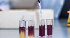 IKBFU Research