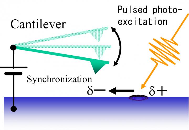 Schematic Diagram