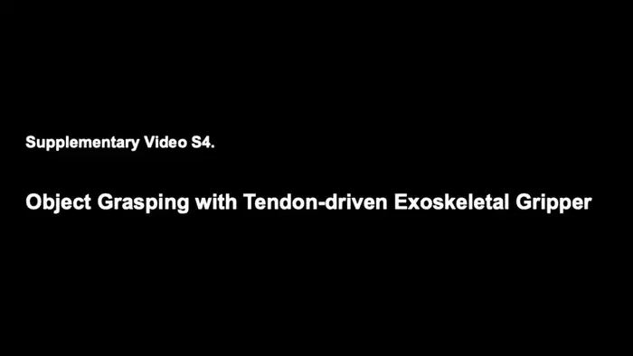 Object Grasping with Tendon-driven Exoskeletal Gripper