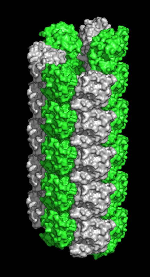 Fertilization Discovery: Do Sperm Wield Tiny Harpoons? (2 of 2)