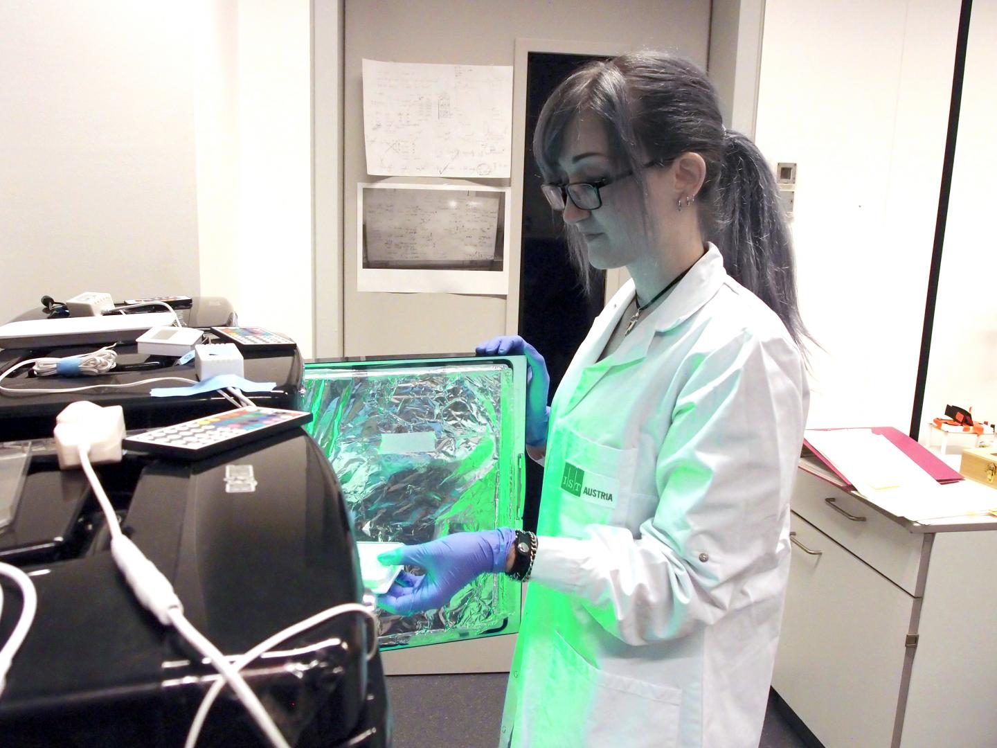 Using Commercial LEDs to Develop Optogenetic Tools