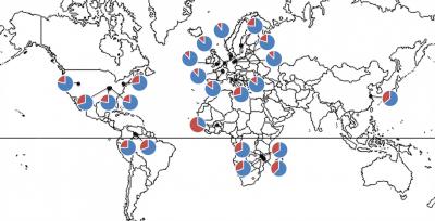 Gut Microbe Variation with Latitude