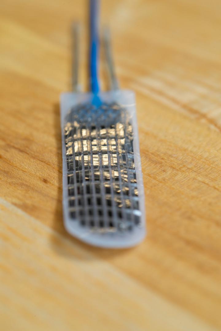 Electrode Array