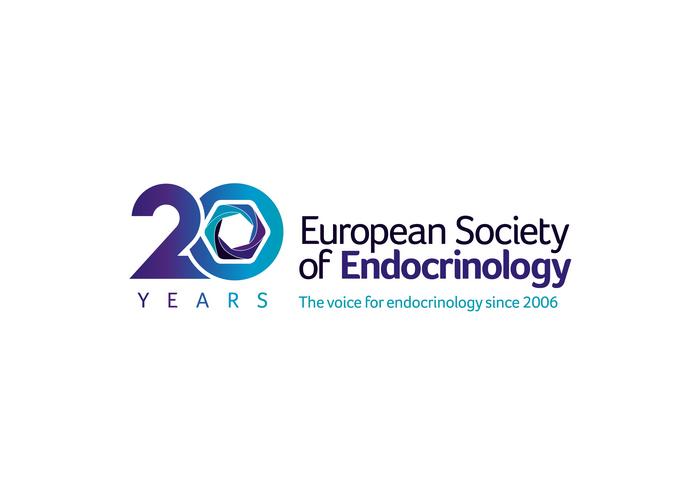 ESE 20th Anniversary Logo