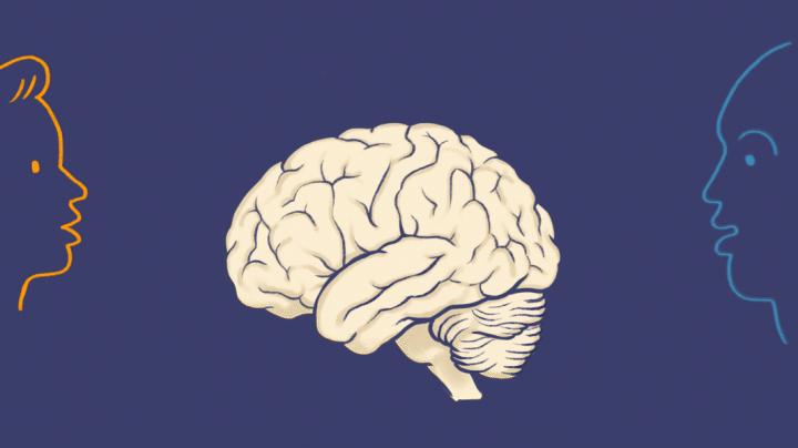 How the Brain Dials up Volume to Hear Someone in a Crowd