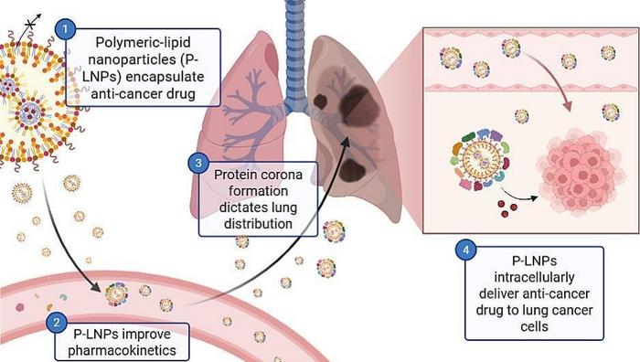 Drug delivery