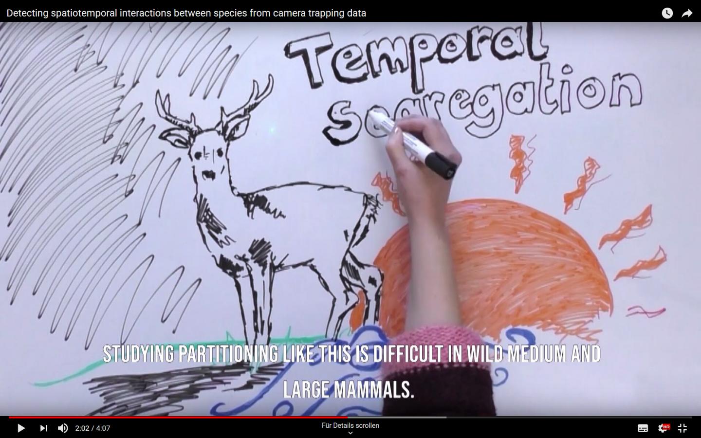 Spatiotemporal Interactions between Species