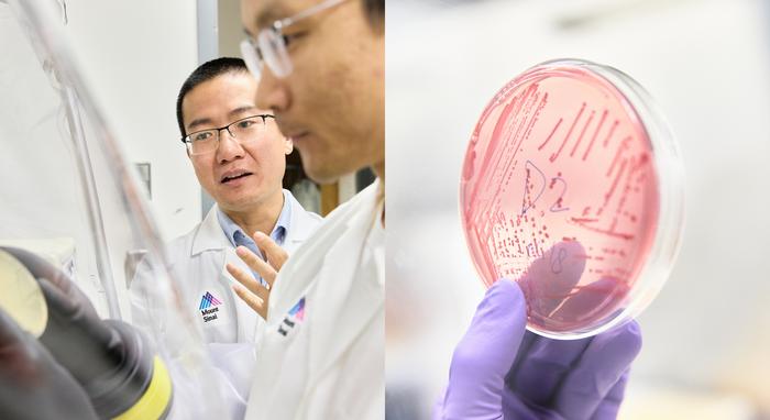 Gang Fang, PhD