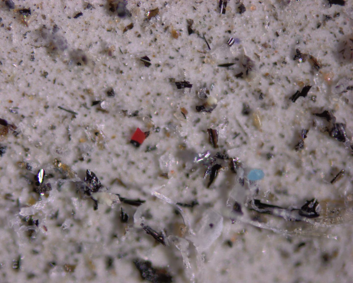 Microplastic particles in atmospheric dust.