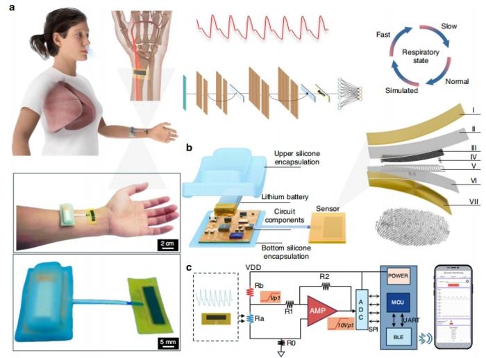 Schematic illustration of the flexible sensor system.