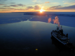 Marine ice sheets