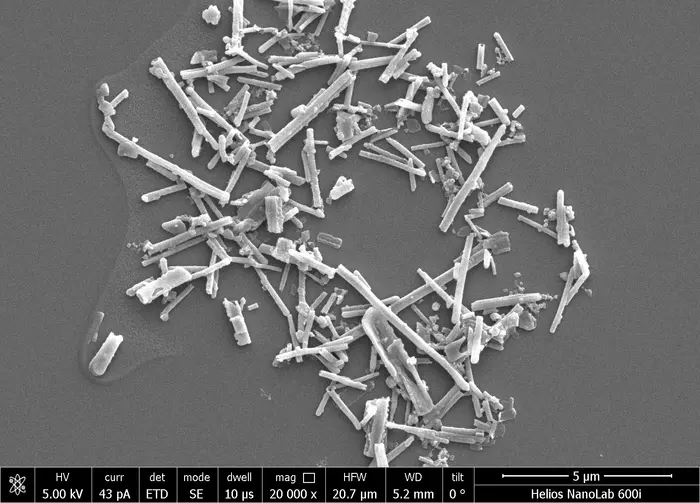 nanoparticles of polydopamine