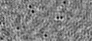 BMV viruses assembling