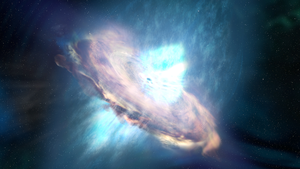A black hole's magnetic flip