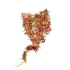 Three-dimensional shape of the yeast enzyme Erg11 © Charité | Markus Ralser