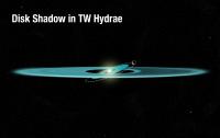 Envisioning a Perturbed Planetary Disc