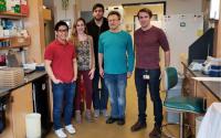 Waldor Lab