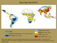 Mean Agricultural Area