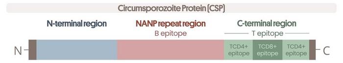 CSP Regions