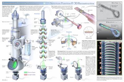 2011 Visualization Challenge Winners Announced (11 of 19)