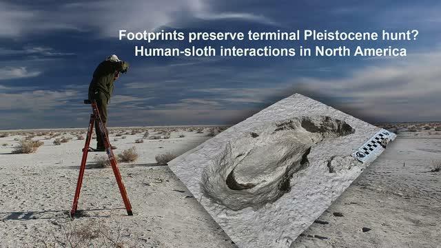 Ancient Humans Stalked Giant Ground Sloths, Fossil Footprints Suggest (3 of 10)