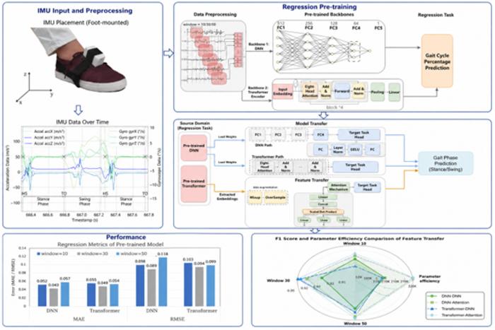This study introduces a regression-to-classification transfer learning framework for wearable gait analysis. The framework improves stance/swing recognition, achieving an 0.07 ms CPU latency, supporting accurate and efficient real-time gait analysis.