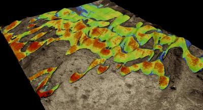 Sand Dunes on Mars