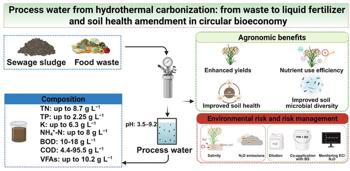 Process water from hydrothermal carbonization: from waste to liquid fertilizer and soil health amendment in circular bioeconomy