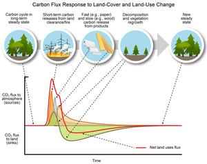 Carbon flux response, Chapter 6
