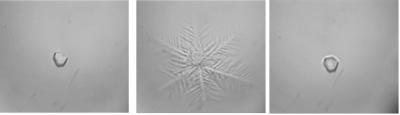 Crystal Images