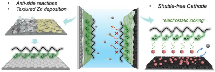 A Synchronous Strategy to Zn‑Iodine Battery by Polycationic Long‑Chain Molecules