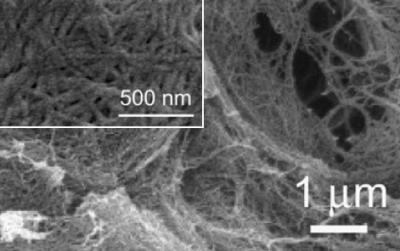 Organogel Fibers