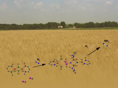 Clarifying the Formula for Fertilizer