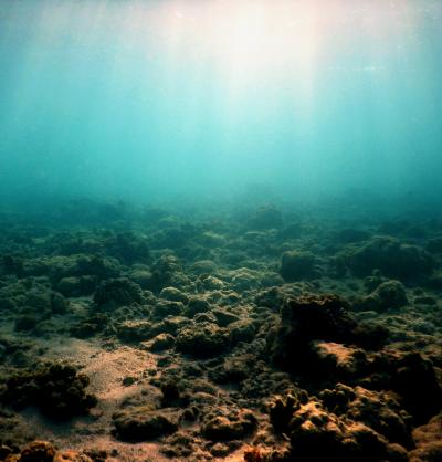 Degraded Coral Reefs at Lizard Island (3 of 3)