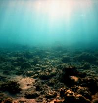 Degraded Coral Reefs at Lizard Island (3 of 3)