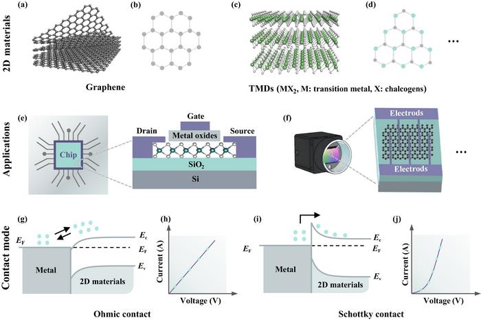 Controlling and utilizing the 2D material-metal contact interfaces
