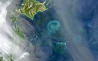 Satellite Image from 160 Kilometers North of the Fukushima Power Plant