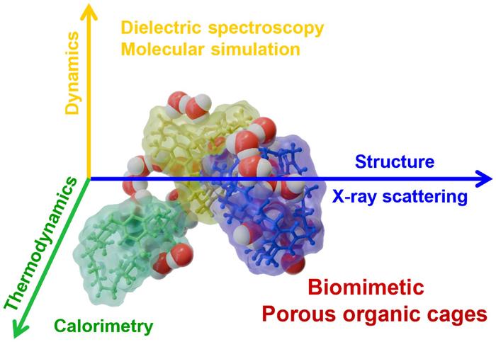 Hierarchical condensed structures and relaxation dynamics of POC1 at different hydration levels.