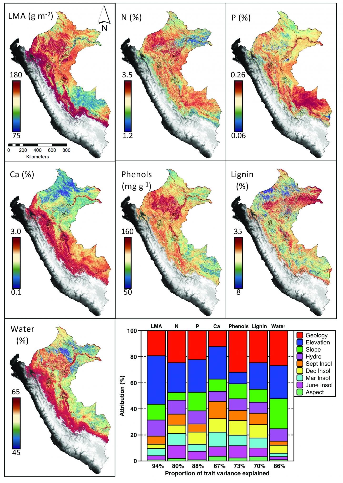 Satellites Help Map Biodiversity, and Conservation Hotspots, of the Amazon (9 of 12)