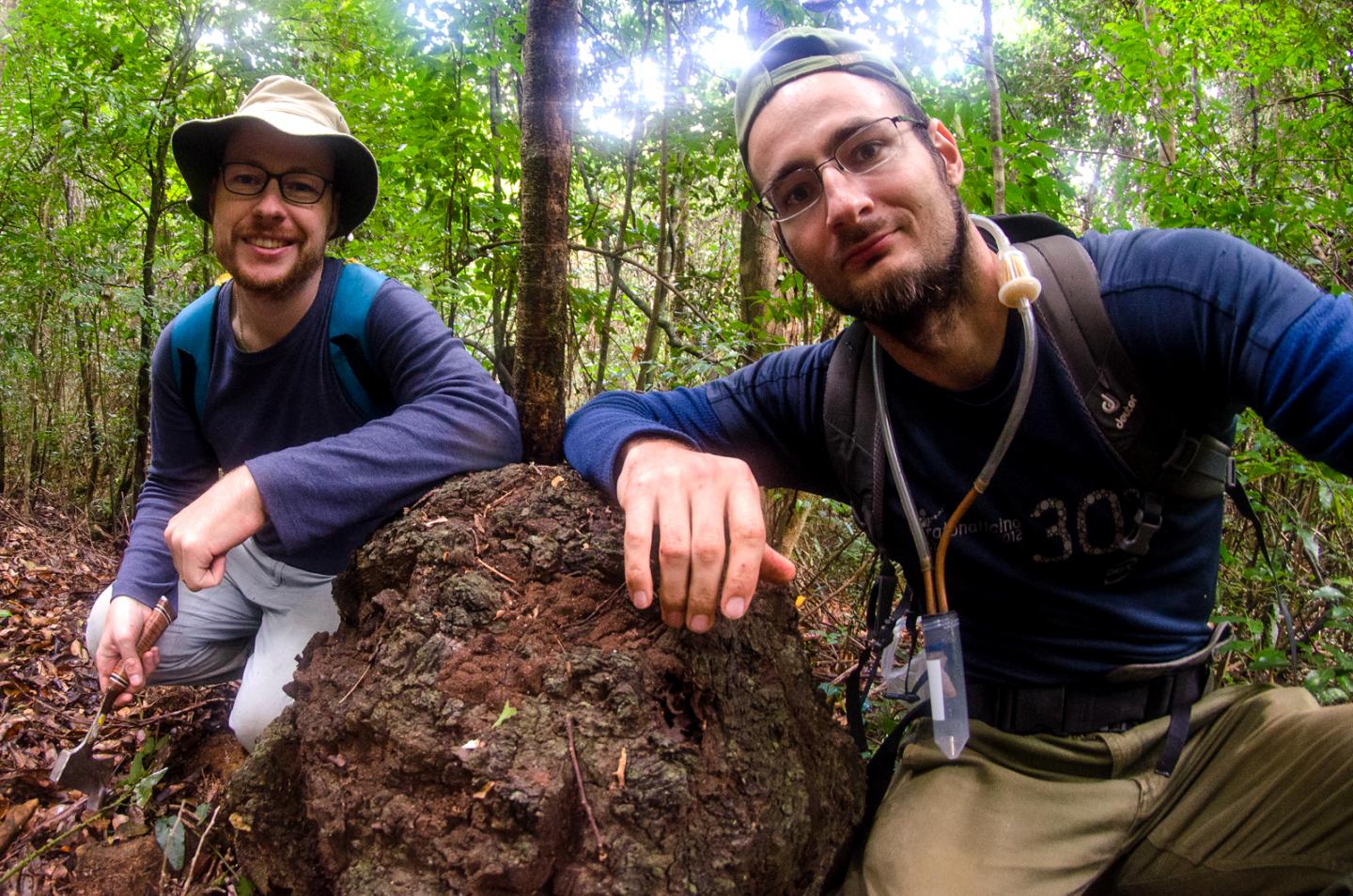 Professor Thomas Bourguignon, a Termitidae Nest, and Dr. Aleš Bu&#269;ek