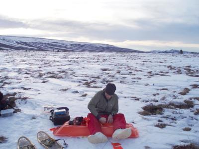 Measuring Carbon