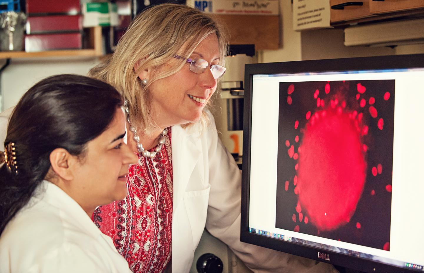 Rabia Gilani, Ph.D. and Sofia Merajver, M.D., Ph.D., University of Michigan Health System