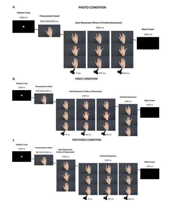 Brain Responds to Others’ Actions