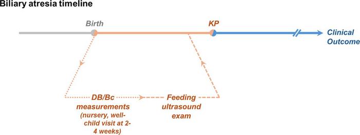 The timeline of biliary atresia’s natural history divided into three intervals relative to birth and treatment with the KP.